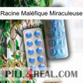 Racine Maléfique Miraculeuse 40